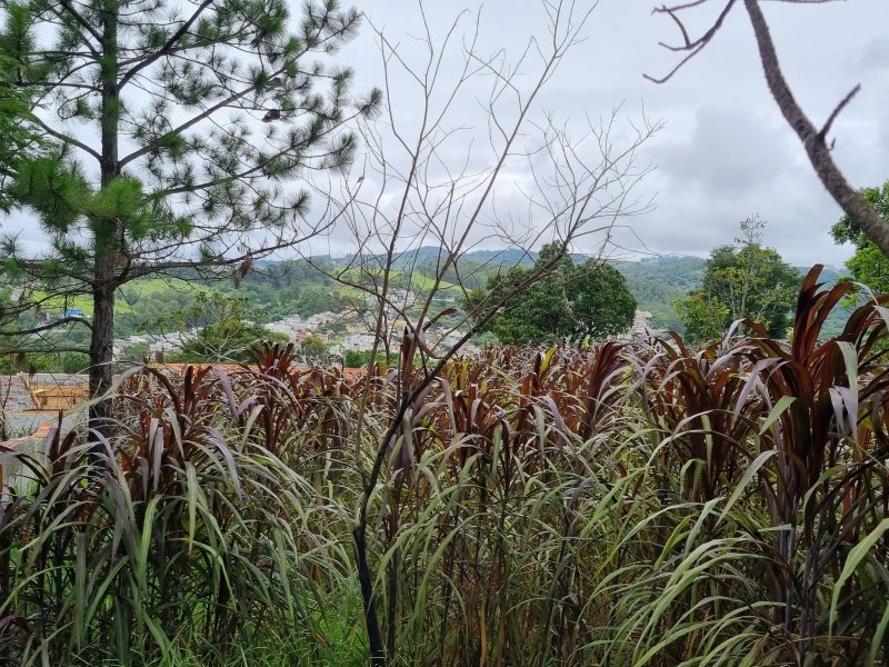 Terreno à venda Parque Vila Rica com 1150m² e 1 quarto por R$ 260.000 - 707162773-20220107-134136-01.jpeg
