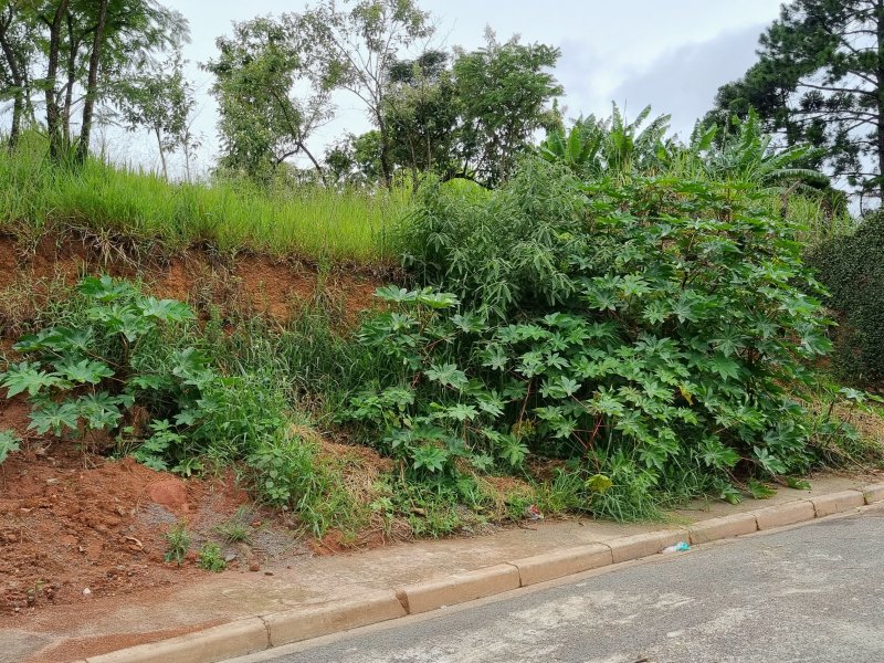 Terreno à venda Parque Vila Rica com 1150m² e 1 quarto por R$ 260.000 - 920135196-20220107-134517-01.jpeg