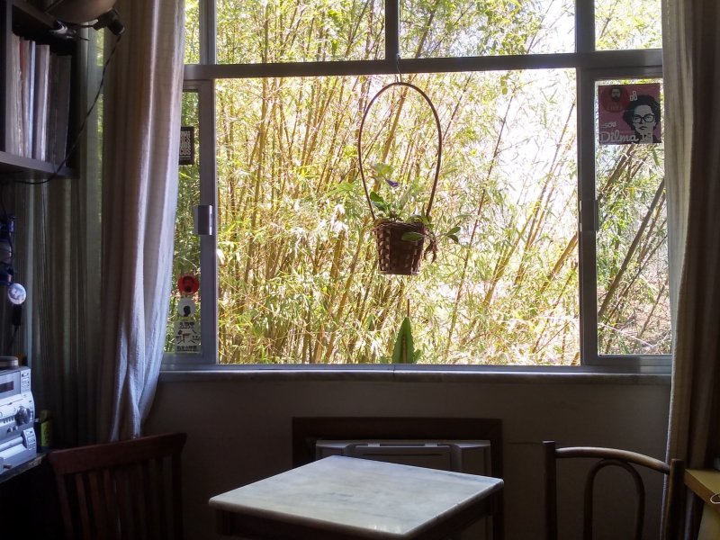 Apartamento à venda Laranjeiras com 52m² e 2 quartos por R$ 495 - 1651543960-4.jpg