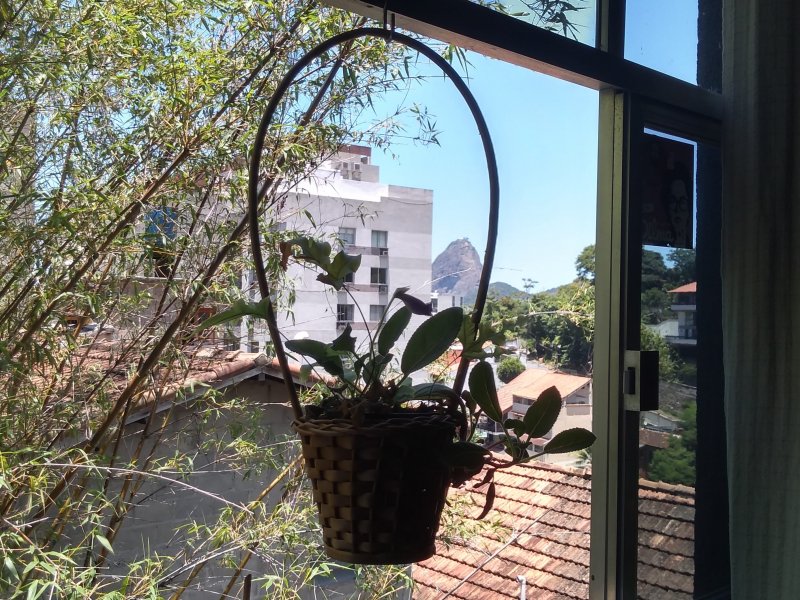 Apartamento à venda Laranjeiras com 52m² e 2 quartos por R$ 495 - 2062806102-5.jpg