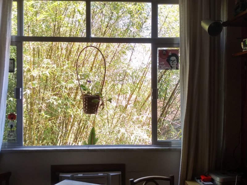 Apartamento à venda Laranjeiras com 52m² e 2 quartos por R$ 495 - 438110409-5.jpg