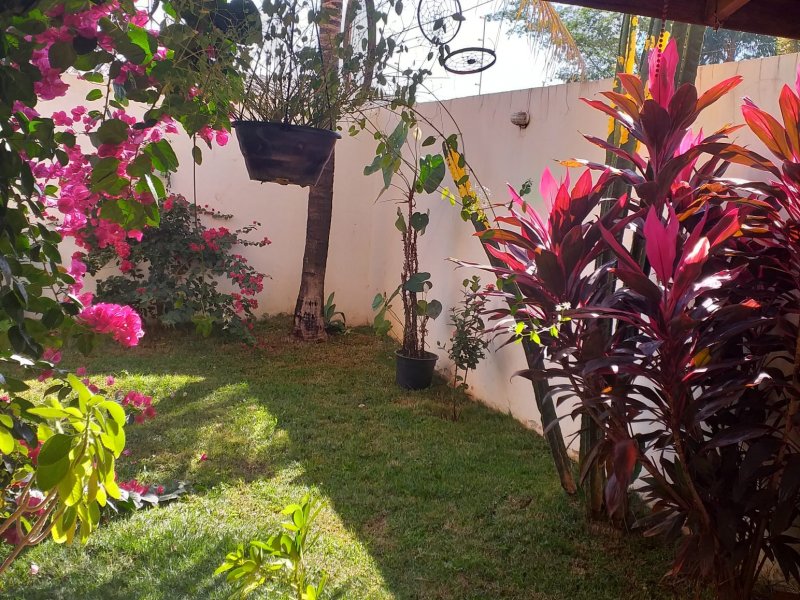 Casa à venda Residencial e Comercial Palmares com 115m² e 2 quartos por R$ 300.000 - 1896238324-img-20210922-wa0162.jpg