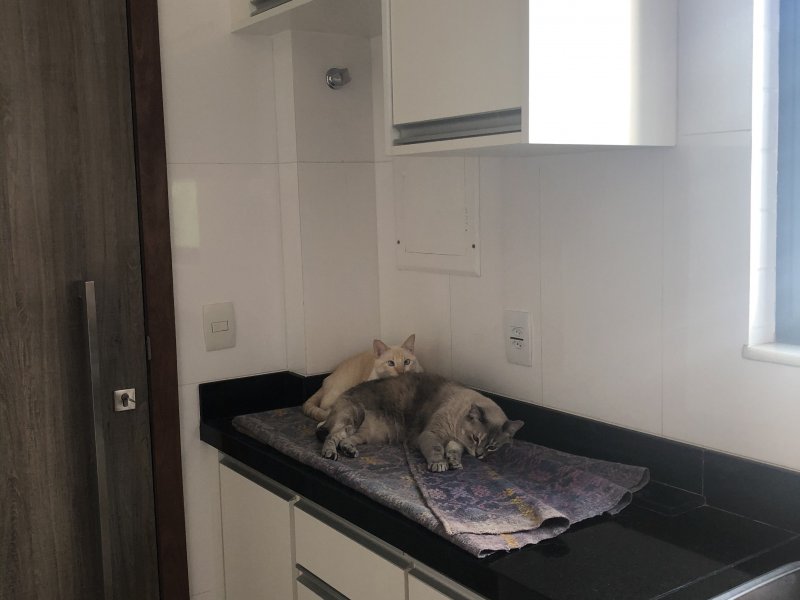 Apartamento à venda Anchieta com 120m² e 3 quartos por R$ 1.340.000 - 1085940670-d541bd14-43e3-4930-bf05-4579a84e5dc3.jpeg
