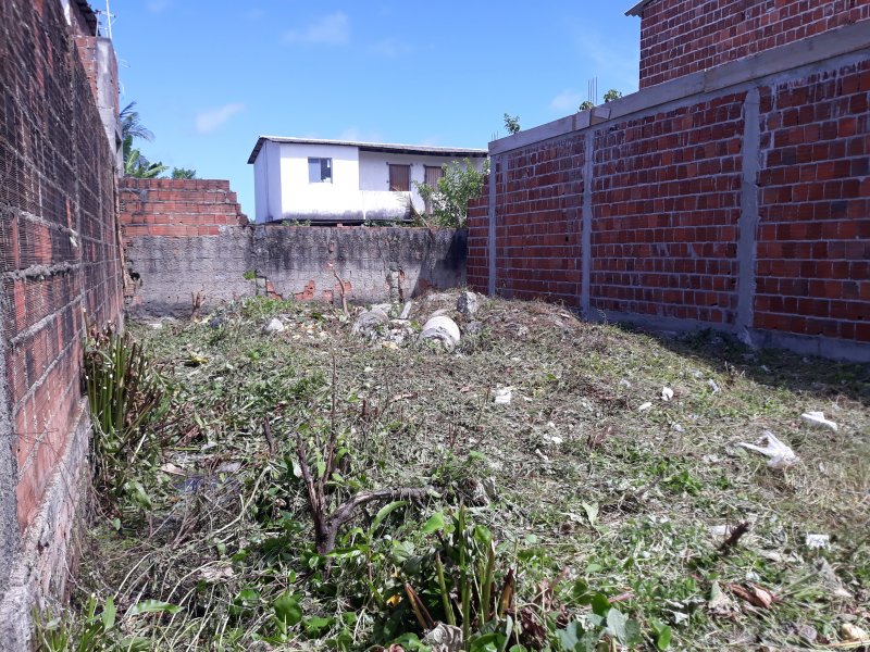 Terreno à venda Piedade com 83m² e 1 quarto por R$ 40.000 - 497359278-20211207-131422.jpg