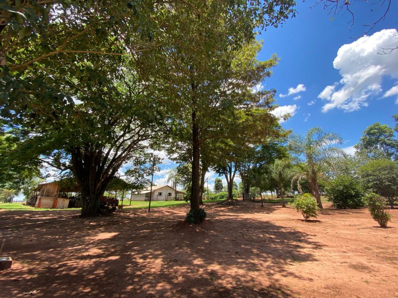Sítio à venda Centro com 544500m² e 4 quartos por R$ 6.525.000 - 1280214881-whatsapp-image-2022-01-16-at-20.jpeg