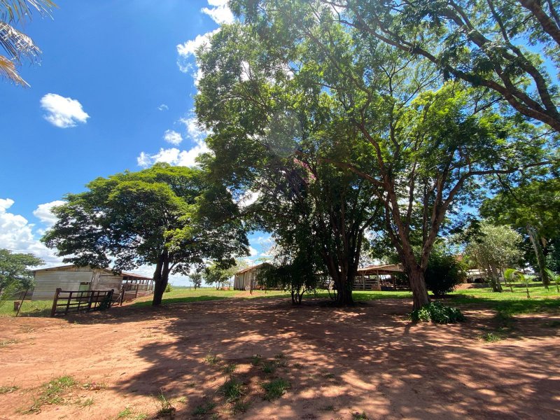 Sítio à venda Centro com 544500m² e 4 quartos por R$ 6.525.000 - 1451922656-whatsapp-image-2022-01-16-at-20.jpeg