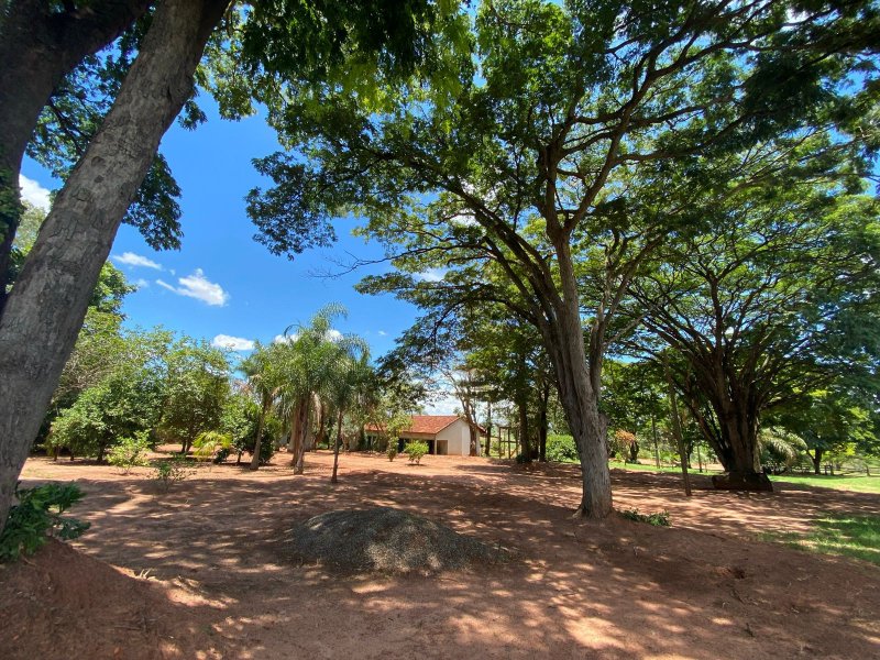 Sítio à venda Centro com 544500m² e 4 quartos por R$ 6.525.000 - 1912733120-whatsapp-image-2022-01-16-at-20.jpeg