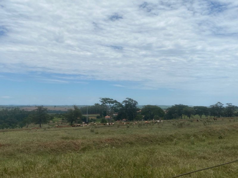Sítio à venda Centro com 544500m² e 4 quartos por R$ 6.525.000 - 2078966007-whatsapp-image-2022-01-16-at-20.jpeg