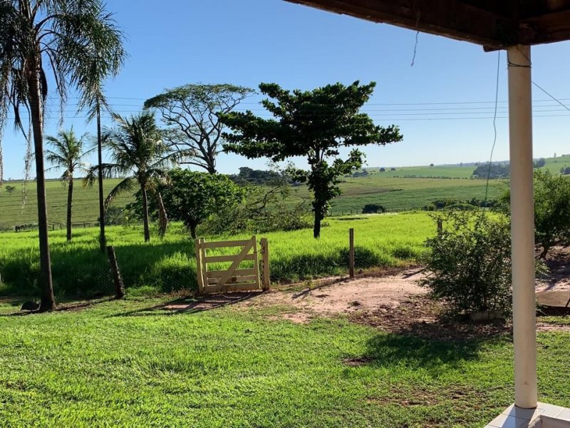 Sítio à venda Centro com 544500m² e 4 quartos por R$ 6.525.000 - 255784079-whatsapp-image-2022-01-16-at-20.jpeg