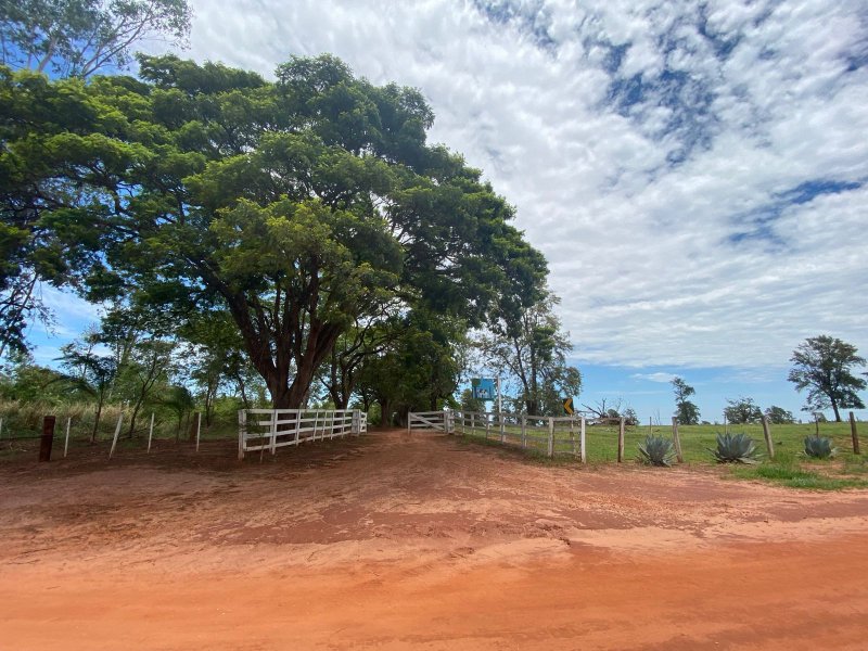 Sítio à venda Centro com 544500m² e 4 quartos por R$ 6.525.000 - 309701970-whatsapp-image-2022-01-16-at-20.jpeg