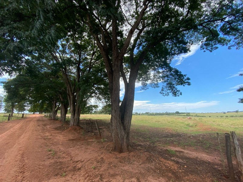 Sítio à venda Centro com 544500m² e 4 quartos por R$ 6.525.000 - 757070303-whatsapp-image-2022-01-16-at-20.jpeg