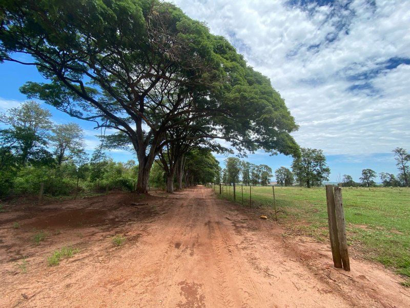 Sítio à venda Centro com 544500m² e 4 quartos por R$ 6.525.000 - 873398404-whatsapp-image-2022-01-16-at-20.jpeg