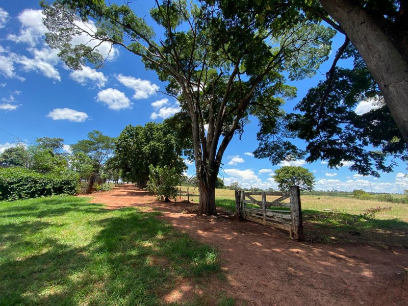 Sítio à venda Centro com 544500m² e 4 quartos por R$ 6.525.000 - 924366979-whatsapp-image-2022-01-16-at-20.jpeg