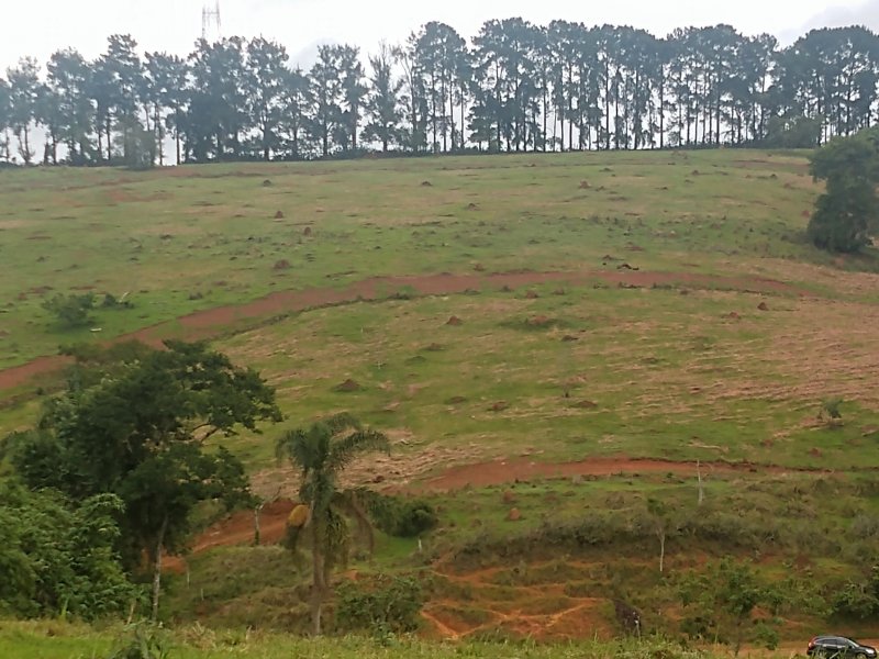 Terreno à venda Centro com 600m² e 1 quarto por R$ 60.000 - 1046796500-img-20220109-085845849.jpg