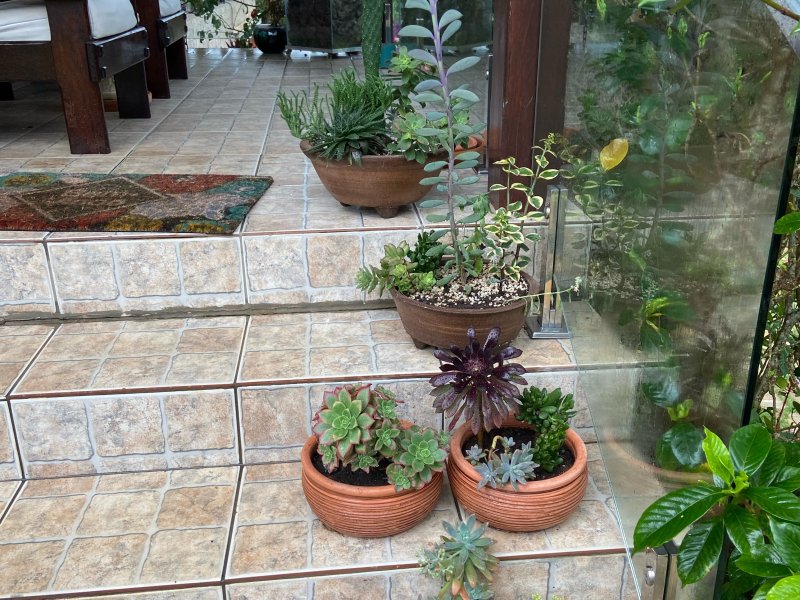 Chácara à venda Alpes D Ouro com 1400m² e 5 quartos por R$ 1.853.000 - 2020494907-7dfcdd71-83eb-4231-a3ee-20fb671ec377.jpeg