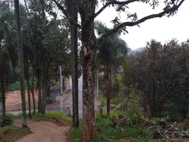 Terreno à venda Recreio São Jorge com 125m² e 1 quarto por R$ 100.000 - 137005410-7.jpeg