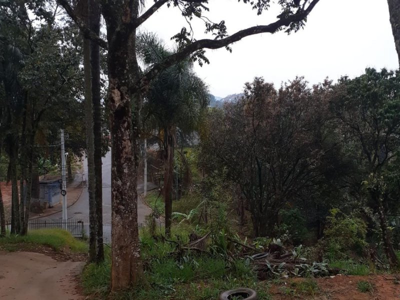 Terreno à venda Recreio São Jorge com 125m² e 1 quarto por R$ 100.000 - 3172716-8.jpeg