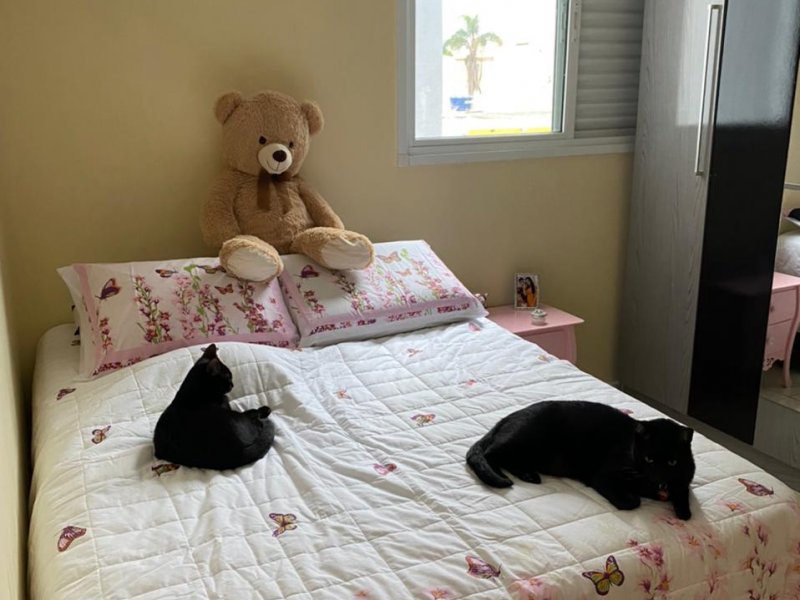 Casa à venda Vila Pires com 200m² e 3 quartos por R$ 900.000 - 268041747-659b3a39-1a23-4864-a308-9ce886fb4de9.jpeg