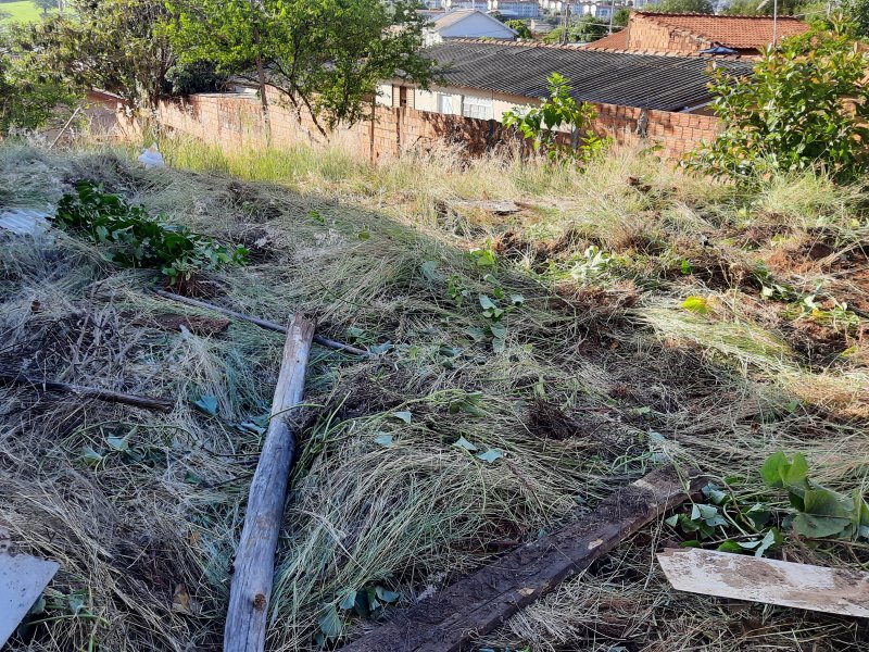 Terreno à venda Jardim Ouro Verde com 1230m² e 1 quarto por R$ 100.000 - 1286908457-20211212-171625.jpg