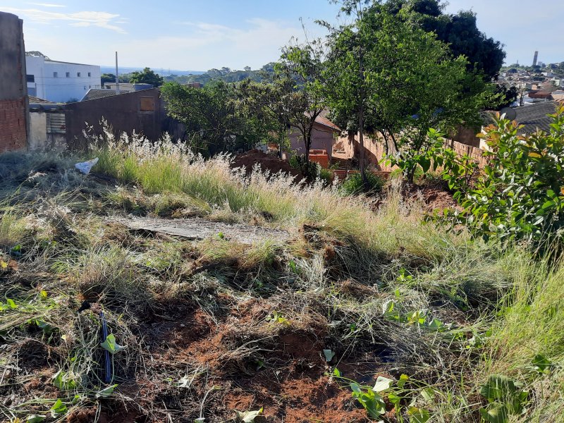 Terreno à venda Jardim Ouro Verde com 1230m² e 1 quarto por R$ 100.000 - 990452479-20211212-171745.jpg