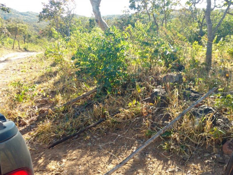 Chácara à venda Centro com 24000m² e 4 quartos por R$ 750.000 - 1603388470-img-20200829-wa0045.jpg