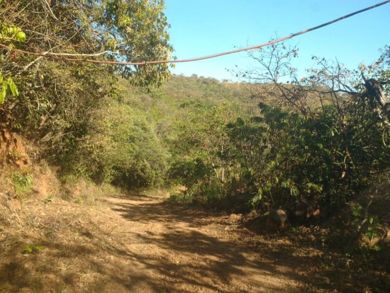 Chácara à venda Centro com 24000m² e 4 quartos por R$ 750.000 - 1646306030-img-20200829-wa0041.jpg
