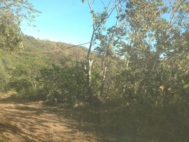 Chácara à venda Centro com 24000m² e 4 quartos por R$ 750.000 - 1882497343-img-20200829-wa0039.jpg