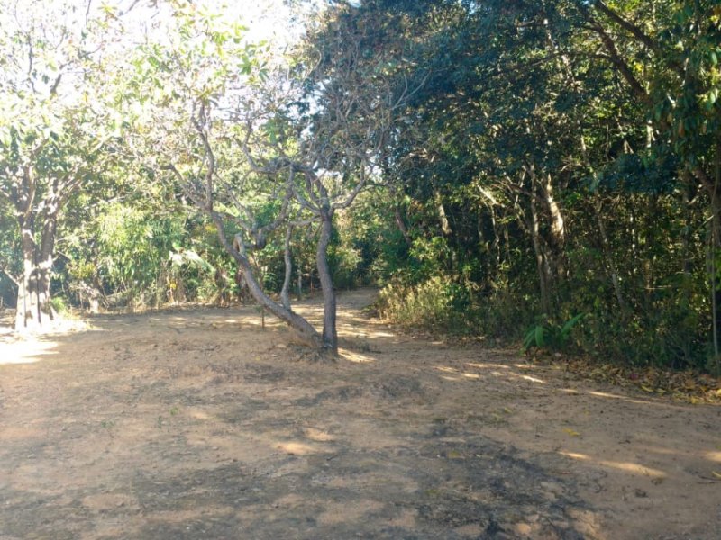 Chácara à venda Centro com 24000m² e 4 quartos por R$ 750.000 - 195479783-img-20200829-wa0030.jpg