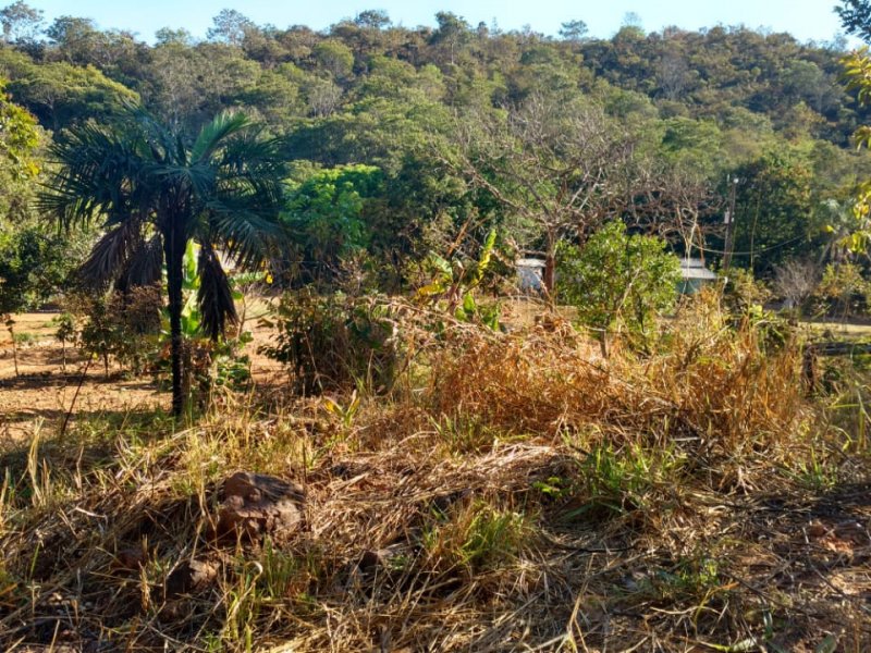 Chácara à venda Centro com 24000m² e 4 quartos por R$ 750.000 - 2032407815-img-20200829-wa0042.jpg