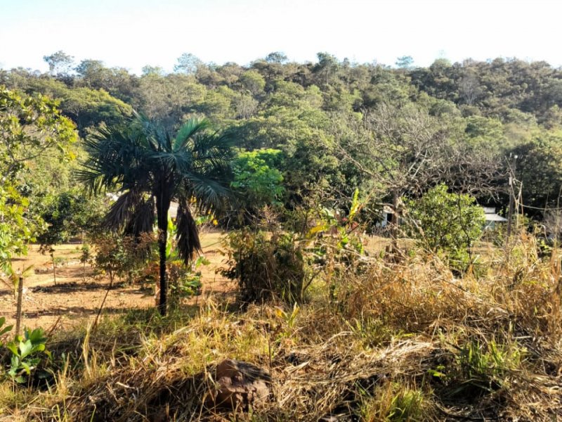 Chácara à venda Centro com 24000m² e 4 quartos por R$ 750.000 - 499657612-img-20200829-wa0034.jpg