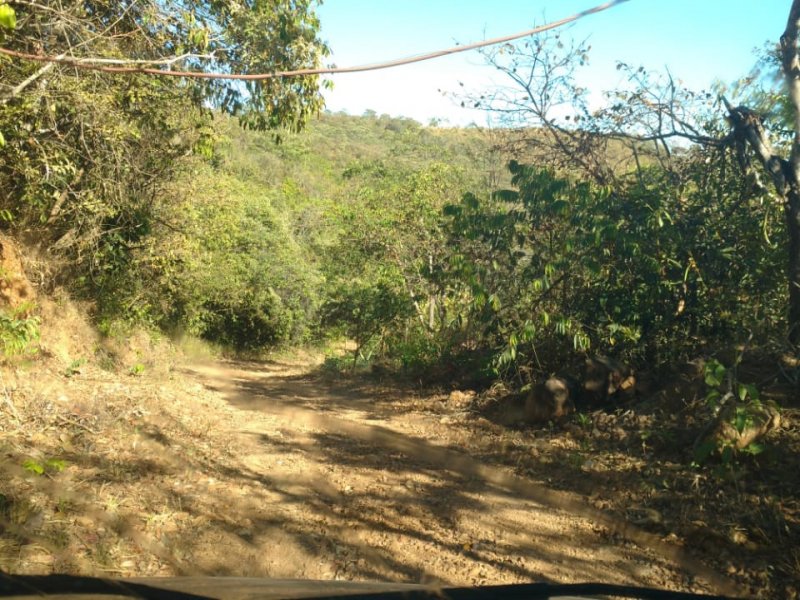 Chácara à venda Centro com 24000m² e 4 quartos por R$ 750.000 - 511152058-img-20200829-wa0038.jpg