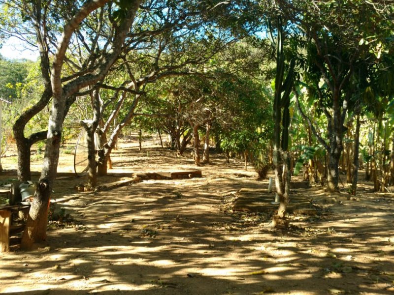 Chácara à venda Centro com 24000m² e 4 quartos por R$ 750.000 - 704926267-img-20200829-wa0026.jpg