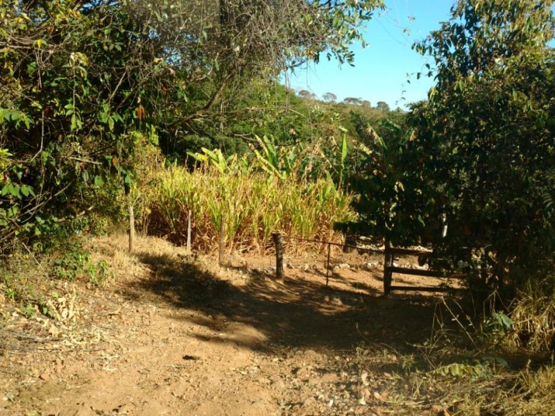 Chácara à venda Centro com 24000m² e 4 quartos por R$ 750.000 - 835534584-img-20200829-wa0033.jpg