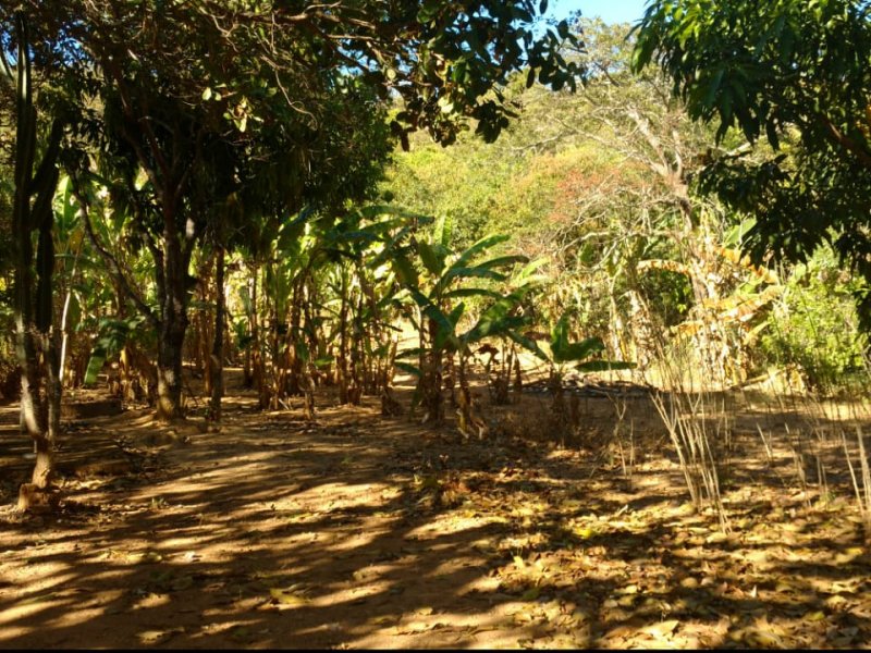 Chácara à venda Centro com 24000m² e 4 quartos por R$ 750.000 - 903355015-img-20200829-wa0023.jpg