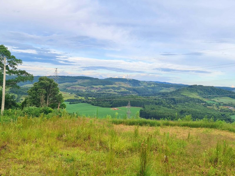 Terreno à venda Santa Cruz com 2600m² e 1 quarto por R$ 525.000 - 540617896-20220112-181647.jpg
