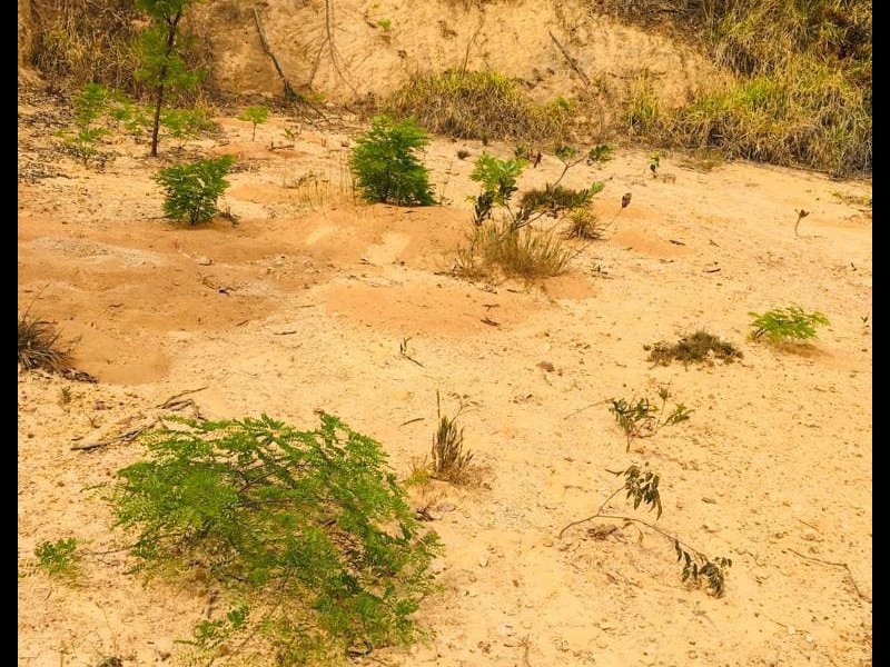 Terreno à venda Canto Alegre com 2000m² e 1 quarto por R$ 110.000 - 1210199787-img-20220104-091523-760.jpg