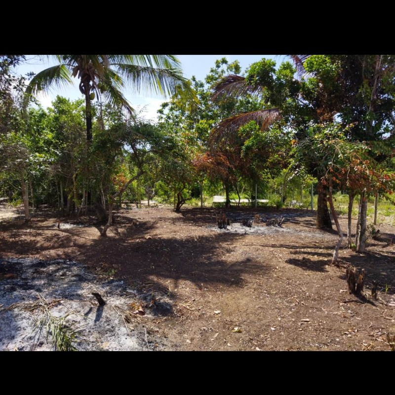 Terreno à venda Corumbau com 300m² e 1 quarto por R$ 75.000 - 1051319232-3.png