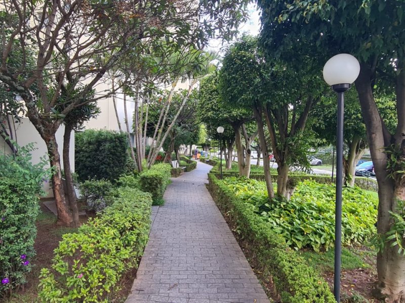 Apartamento à venda Parque Maria Domitila com 53m² e 2 quartos por R$ 370.000 - 414472312-inbound5478154800081356547.jpg