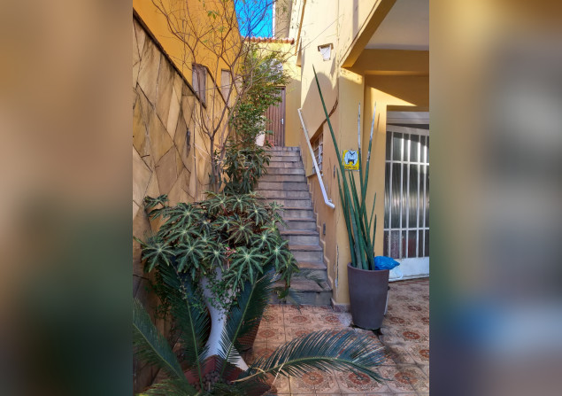 imóvel com 267m²