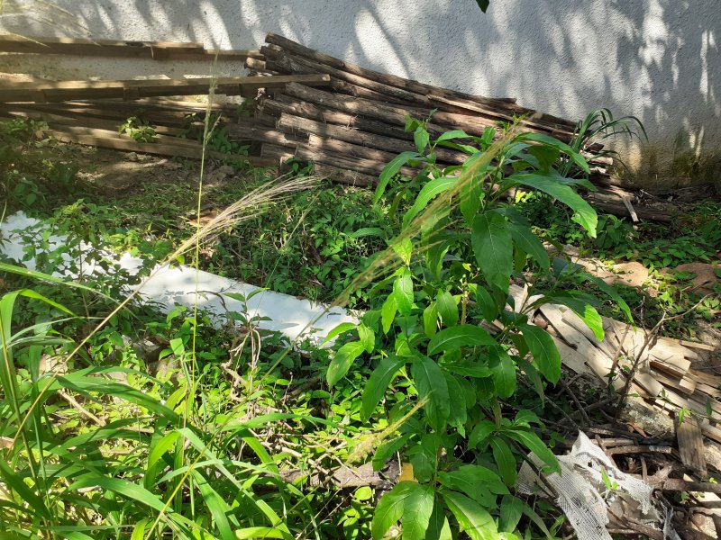 Terreno à venda Taquara com 80m² e 1 quarto por R$ 145.000 - 1212774536-20220122-142253.jpg