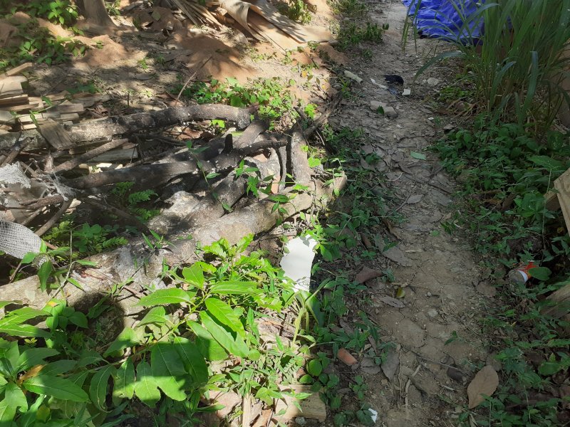 Terreno à venda Taquara com 80m² e 1 quarto por R$ 145.000 - 328847586-20220122-142304.jpg
