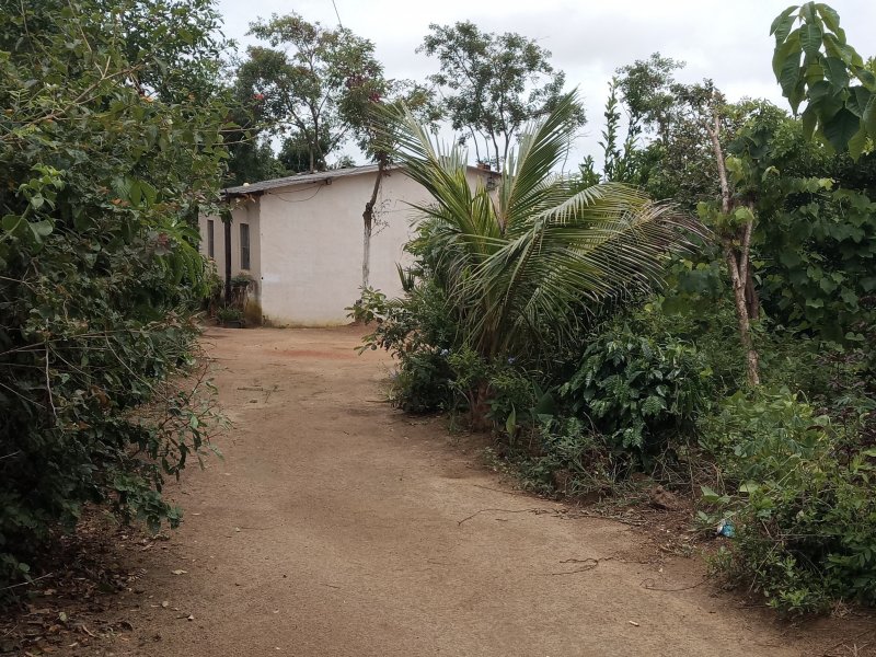 Sítio à venda Centro com 60m² e 5 quartos por R$ 70.000 - 205428730-20220126-123359.jpg