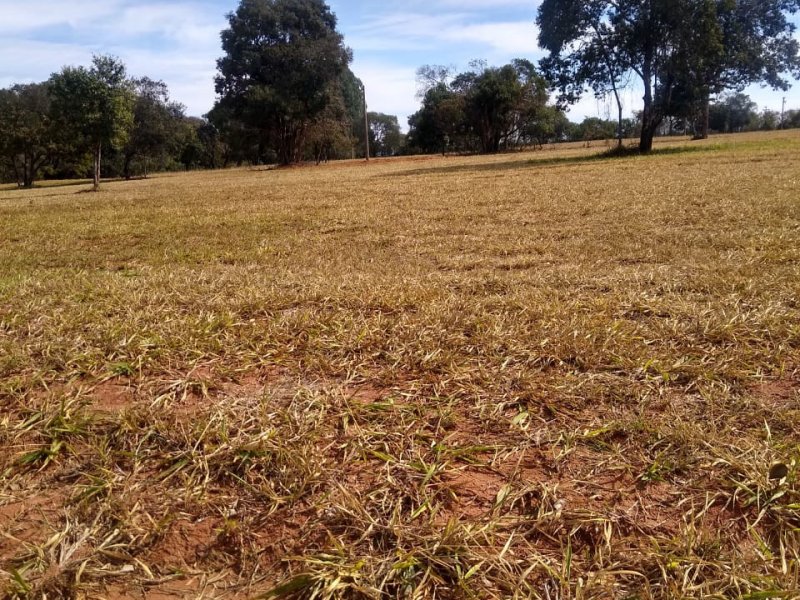 Terreno à venda Thermas de Santa Barbara com 450m² e 1 quarto por R$ 65.000 - 1777457610-whatsapp-image-2022-01-23-at-10.jpeg