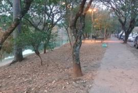 Terreno à venda Parque Campolim com 480m² - 1 dormitório -  vagas - R$ 850.000 - 1992340466-terreno-campolim3.jpg