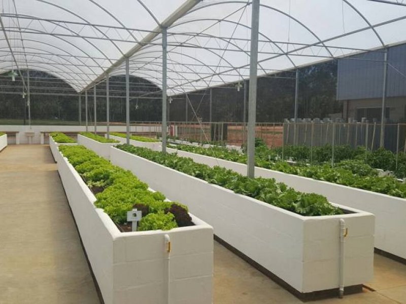 Terreno à venda Thermas de Santa Barbara com 962m² e 1 quarto por R$ 80.000 - 793392277-fc2f4fa1dc983dcd44f8a15caab5464b.jpg