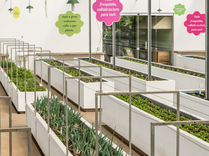 Terreno à venda Thermas de Santa Barbara com 962m² e 1 quarto por R$ 80.000 - 877311957-14.png