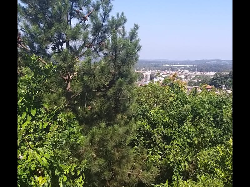 Terreno à venda Aberta dos Morros com 173m² e 1 quarto por R$ 85.000 - 2045857663-terreno-2.jpeg