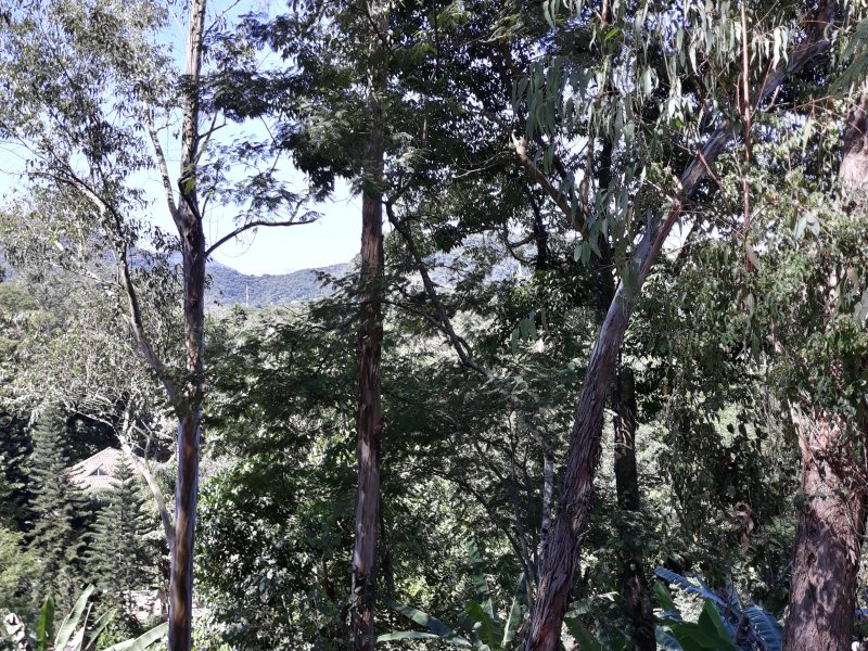 Terreno à venda Vargem Grande com 552m² e 1 quarto por R$ 380.000 - 1246830597-20210410-124813.jpg