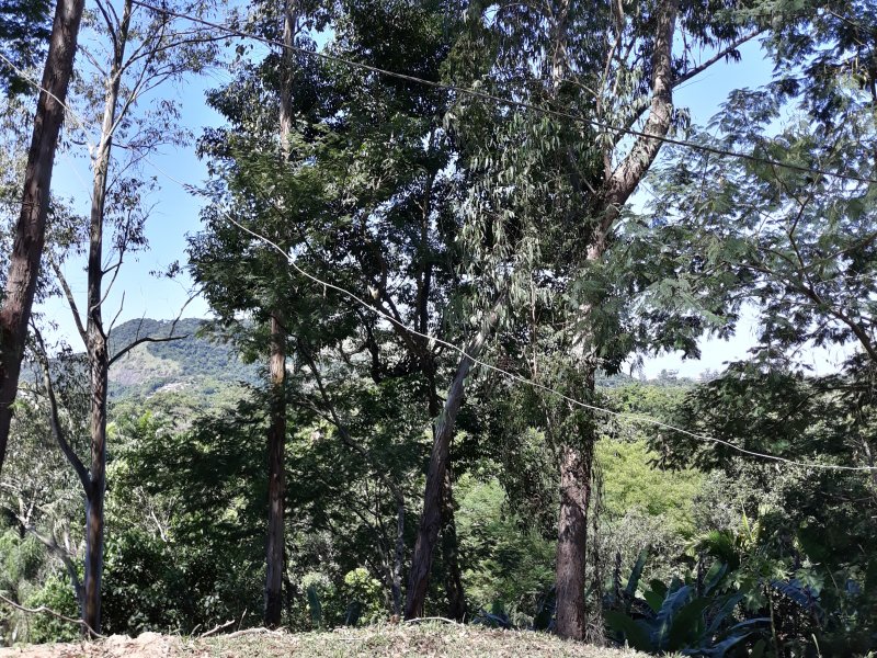 Terreno à venda Vargem Grande com 552m² e 1 quarto por R$ 380.000 - 1278196941-20210410-125122.jpg