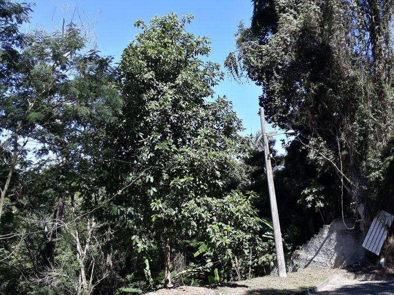 Terreno à venda Vargem Grande com 552m² e 1 quarto por R$ 380.000 - 1672818588-20210410-125116.jpg